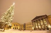 6 Great Cities to Soak in That Christmas Atmosphere