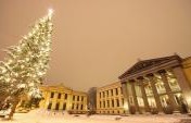 6 Great Cities to Soak in That Christmas Atmosphere