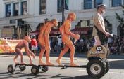 The Evolution of a Traveller