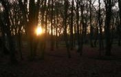 Haunt of Kings, Queens and “Coylers” in Greater London