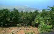 Hawaii’s Big Island and a Different Kind of Travel