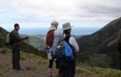 The Quickest Way into the Mountain Terrain of Kaikoura, New Zealand