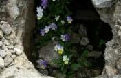 Romping through the Rhodopi in Southern Bulgaria