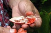 Everything You Need to Know About Agritourism