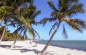 The Florida Keys – An Ideal Vacation Destination