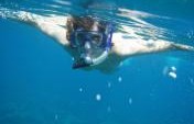 Snorkeling on Maui – A Must Try