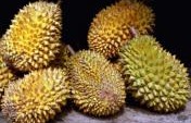 The Many Weird Fruits of Southeast Asia