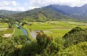 How to Find WWOOFing Opportunities in Hawaii