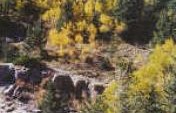 Albuquerque, New Mexico – November 1999
