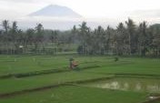 The Irrigation – Bali, Indonesia