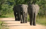 8 Excellent Experiences in South Africa