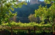 The Next Table – An Encounter in the Shadow of the Alhambra in Granada, Spain