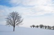 10 Ways to Take Better Travel Photographs