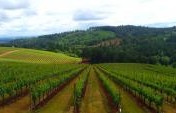 Five Things to Do in & Around Salem, Oregon