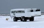 Churchill, Canada, Polar Bear Capital