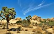 Four Things to Do in Palm Springs