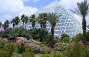 Seven Things to Do in Galveston, Texas