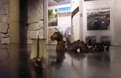 Nessie and Friends: 7 Lake Monsters Around the World