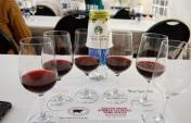 Seven Reasons to Attend the Beaver Creek Wine and Spirits Festival