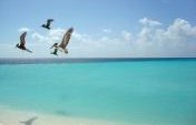 Ten Places in South America to Escape the Northern Winter