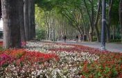 Getting Back to Nature in Istanbul