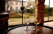 Drink Your Way Around Portugal