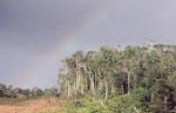 Chasing Rainbows – French Guiana (3 of 3)