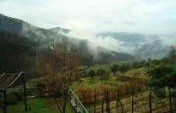 Living Light in Liguria: WWOOFing at the House of the Sun