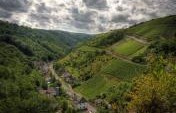 Germany By the Glass: Three Drinking Destinations Not to Miss