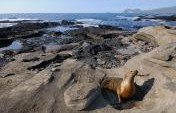 Exotic Destinations on a Budget: How to Experience the Trip of a Lifetime for Less