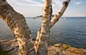 Five Practical Tips for Making the Most of Your Visit to Maine’s Acadia National Park