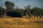 Africa’s Lesser-Known Park