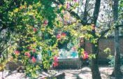 The Forgotten Land of El Salvador – El Salvador