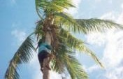 Club Fiji – Fiji