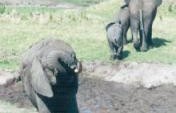 Into Africa – Kenya