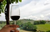 The Budget Traveler’s Guide to Wine Tasting in Italy