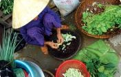 10 Delicious Discoveries with Intrepid Travel [Sponsored Post]