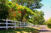 Pau Hana in Haiku – Haiku, Maui, Hawaii, USA