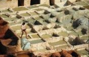 Negotiating for Change in Fez