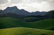 Nine New Zealand Wine Regions You Should Know About