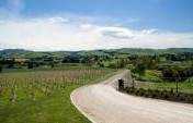 9 World Class Wine Regions in New Zealand