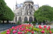 The Pigeon of Samothrace – Paris, France