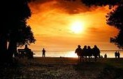 How to Bring Your European Trip Back Home