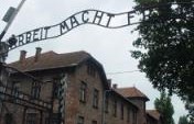 Reliving the Past – Auschwitz, Poland