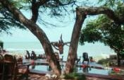 Find Me In Jamaica #2