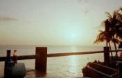 Find Me In Jamaica #3