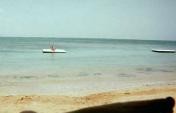 Find Me In Jamaica #4