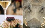 Seeing and Eating Exotic Animals in South Africa