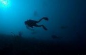 Travel Central America: Honduras to Panama