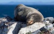 Finally, a Galapagos Trip You Can Afford